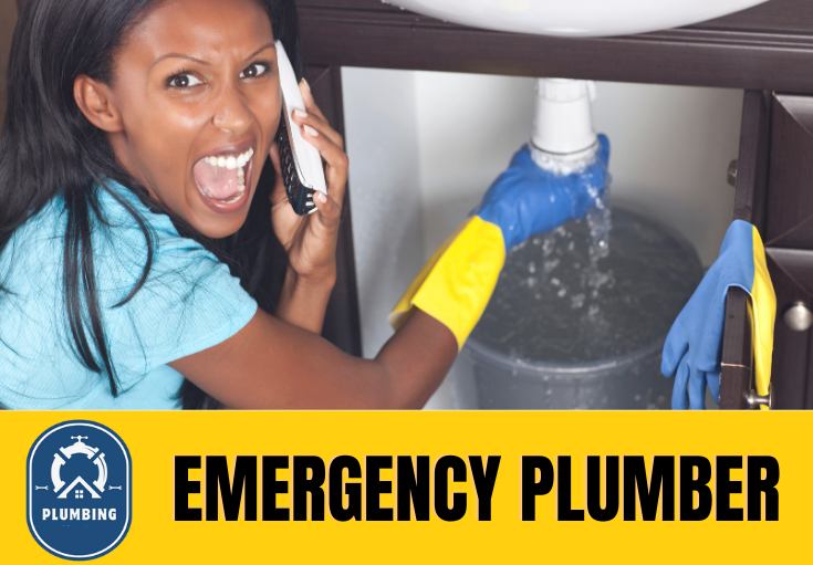 emergency plumber Cuxton