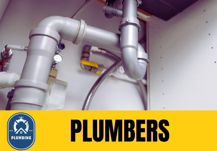  plumber Luddesdown